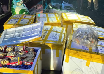 Phát hiện hơn 800kg cá viên, tôm viên, bò viên không rõ nguồn gốc trên xe khách