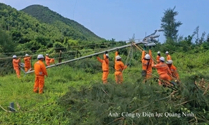 T&T Group và Yusys hướng tới liên doanh công nghệ tài chính