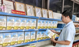 Đà Nẵng hướng tới trung tâm logistics, chuỗi cung ứng quốc tế