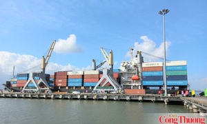 TP. Hồ Chí Minh thu hút hơn 9,8 tỷ USD vốn FDI trong 7 tháng