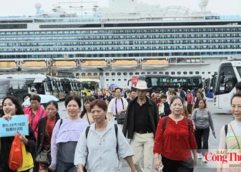 Thành phố Huế: Nâng năng lực, tăng sức hút du lịch tàu biển