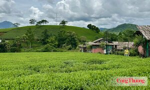 Bắc Ninh đẩy mạnh xúc tiến, quảng bá nông sản đặc trưng