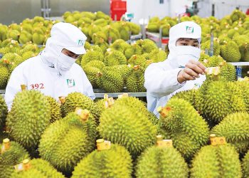 Từ 2027, áp dụng quy định mới về xác định xuất xứ hàng hóa Việt Nam