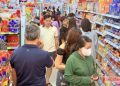 Lai Châu: Giữ nguồn chè quý, mở lối sinh kế bền vững