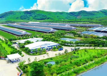 50 năm Vinamilk: Hành trình không ngừng nâng chuẩn