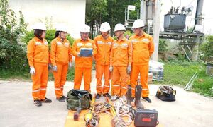 Vòng đời khép kín của chất thải tại Cụm trang trại bò sữa quy mô hàng đầu thế giới