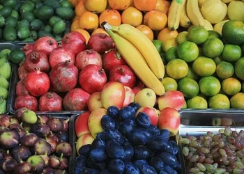 Bộ Nông nghiệp và Môi trường ra quân kiểm tra việc dùng chất kích thích tăng trưởng hoa quả.