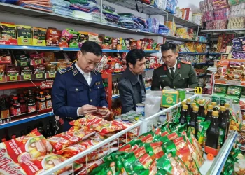 Thái Bình thành lập 3 đoàn kiểm tra liên ngành thực hiện cao điểm chống buôn lậu, gian lận thương mại, hàng giả, xâm phạm quyền sở hữu trí tuệ trên địa bàn tỉnh.