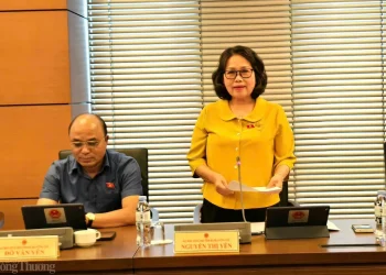 Cao tốc Quy Nhơn - Pleiku và Biên Hòa -Vũng Tàu: Thúc đẩy phát triển vùng sau sáp nhập