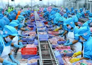 Kiên Giang: Công nghiệp khởi sắc, thương mại bùng nổ trong tháng 5/2025