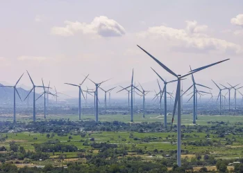 Ninh Thuận trải thảm đỏ thu hút đầu tư: Hành động thực chất, định hướng bền vững