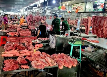 Vi phạm an toàn thực phẩm, đề xuất tăng mức xử phạt