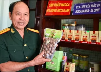 Ông Lê Văn Trường- HTX Liên kết mắc ca Di Linh