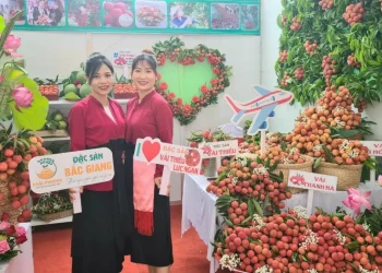 Nhiều siêu thị, doanh nghiệp lớn sẽ đổ về Bắc Giang mùa vải chín