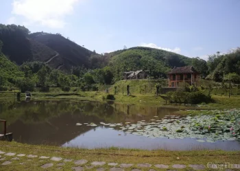 Ao cá Bác Hồ nằm trong Trung tâm Bảo tồn văn hóa H’rê huyện Sơn Hà