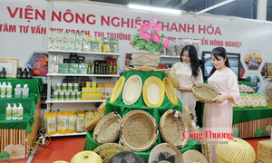 Thành phố Huế: Vận hành ba nền tảng số, hỗ trợ doanh nghiệp và thu hút đầu tư