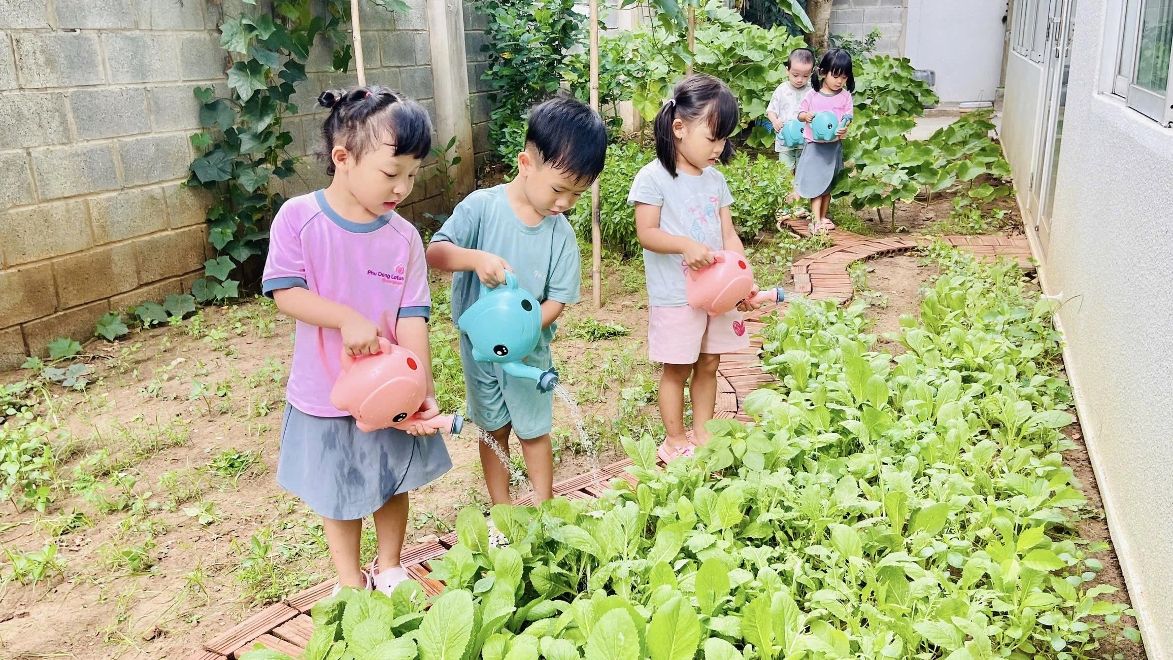 hoat-dong-trong-rau-gay-quy-_mam-xanh-yeu-thuong_-031348 Hoạt động trồnHoạt động trồn