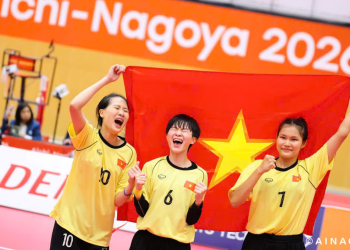 Thể thao thành tích cao: Đã đến lúc đầu tư cho cả một hệ thống