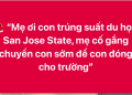 “Con trúng suất du học” – chiêu “bắt cóc online” khiến phụ huynh suýt mất tiền