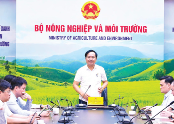 Gỡ ‘thẻ vàng’ IUU: Định vị nghề cá Việt Nam trong chuỗi giá trị thủy sản toàn cầu