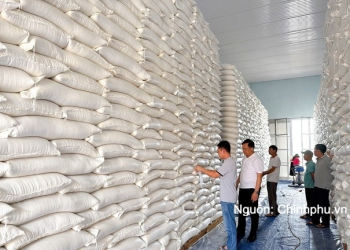 Các trường hợp nhập, xuất hàng dự trữ quốc gia theo quy định mới