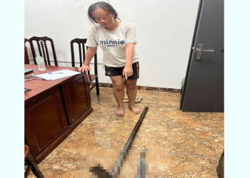 Bắt tạm giam người phụ nữ cầm dao, cuốc đuổi đánh người dân