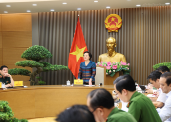 Phó Thủ tướng Phạm Thị Thanh Trà: Tháo gỡ điểm nghẽn, đẩy nhanh giám định ADN hài cốt liệt sĩ