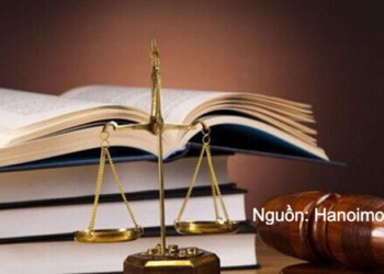 Từ 1/12, Chính phủ bãi bỏ toàn bộ hoặc một phần đối với 24 nghị định