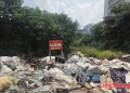 Nhếch nhác bãi rác tự phát ven đường Phạm Văn Đồng