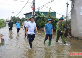 Mưa lũ dâng cao, Hà Nội chủ động bảo đảm giao thông, sản xuất