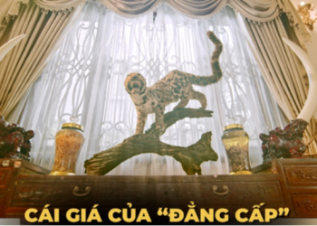 Ra mắt phim ngắn truyền thông cảnh báo hậu quả ‘thú chơi’ tiêu bản động vật hoang dã