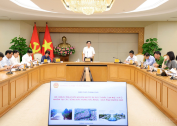 Phục hồi sông Bắc Hưng Hải, Nhuệ – Đáy, Ngũ Huyện Khê theo lộ trình, bảo đảm hiệu quả đầu tư