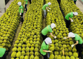 Nâng cao giá trị kinh tế nông sản Việt