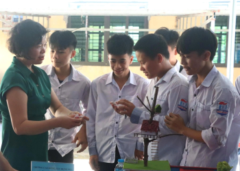 Quy chế tuyển sinh trong giáo dục nghề nghiệp: Trẻ từ 11 tuổi có thể học sơ cấp nghề