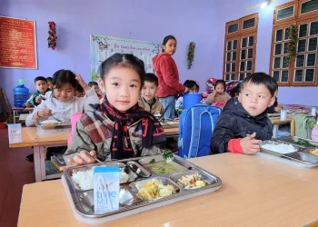 Mô hình điểm bữa ăn học đường: Nền tảng khoa học cho mục tiêu nâng cao tầm vóc Việt
