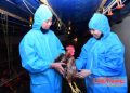 TP. Hồ Chí Minh giữ đà công nghiệp, thương mại, hướng tới tăng trưởng hai con số