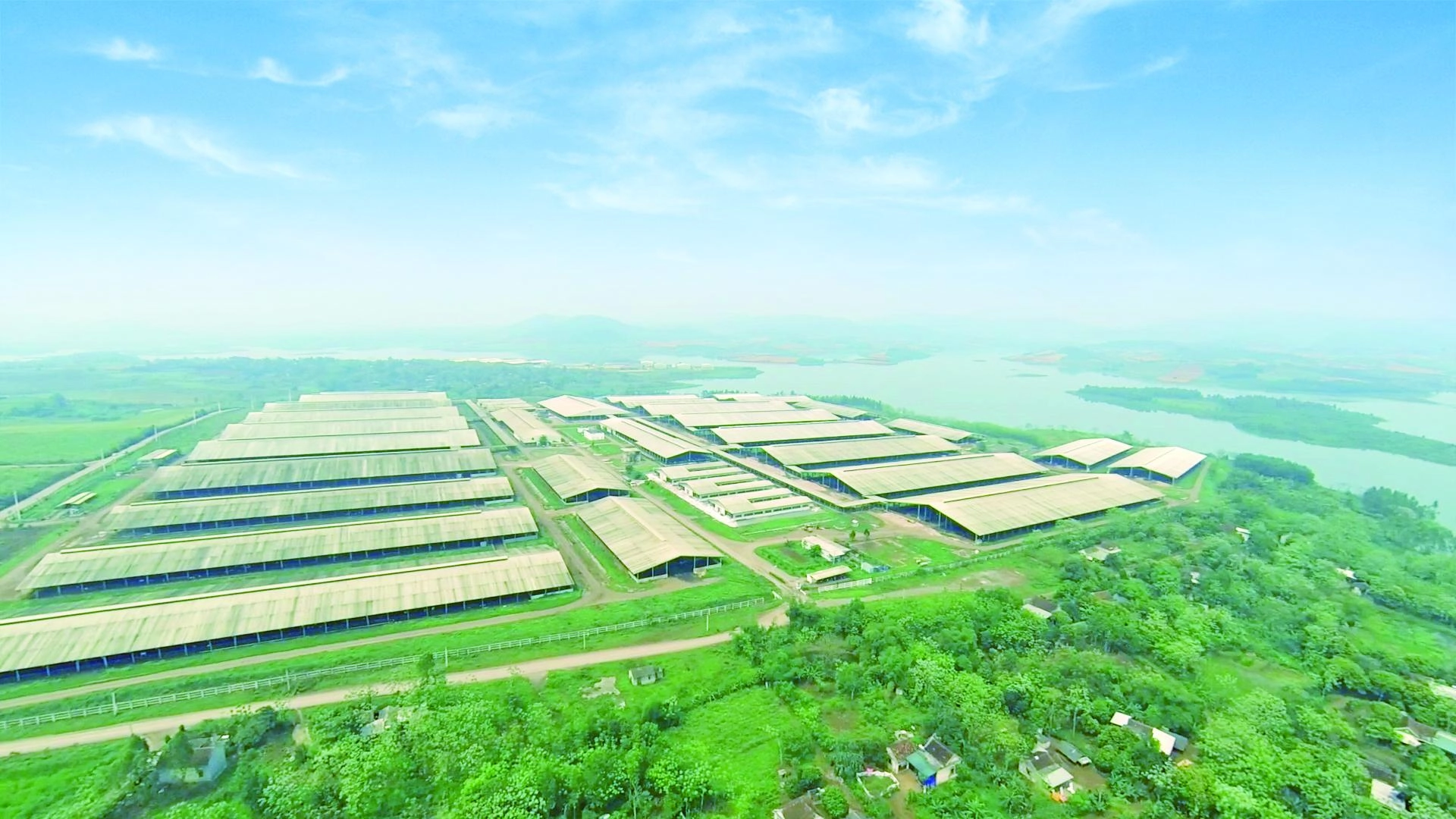 trang-trai-toan-canh-201836 trang trại toàn cảnh