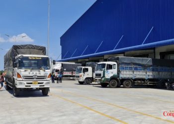 TP. Hồ Chí Minh muốn logistics thoát khỏi cuộc đua ‘xe – kho – bãi’